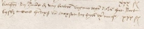 Vermelding Lysbeth Moers Henrixs van Lanxscot in 1495