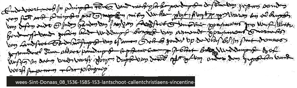 Weesakte van Jan Callant, Vincentijne Christiaens en de familie Van Landschoot, 1548